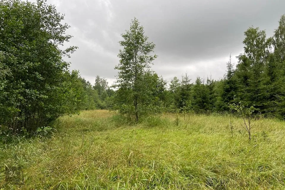 Maatulundusmaa, 47800 m² участок в Saaremaa vald, Metsara küla - фото 2
