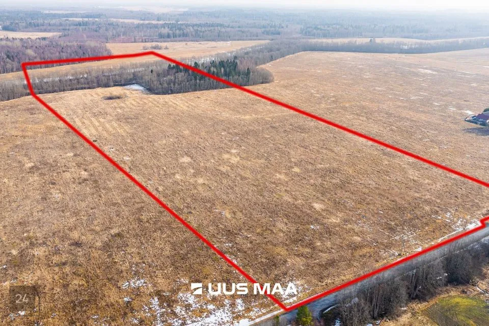 Maatulundusmaa, 215865 m² участок в Lääne-Harju vald, Laane küla - фото 4