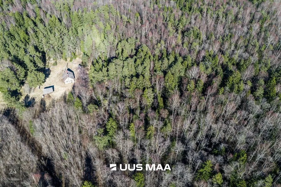 Maatulundusmaa, 87600 m² Maa  -  Lääne-Nigula vald, Tuksi küla / Bergsby - foto 4