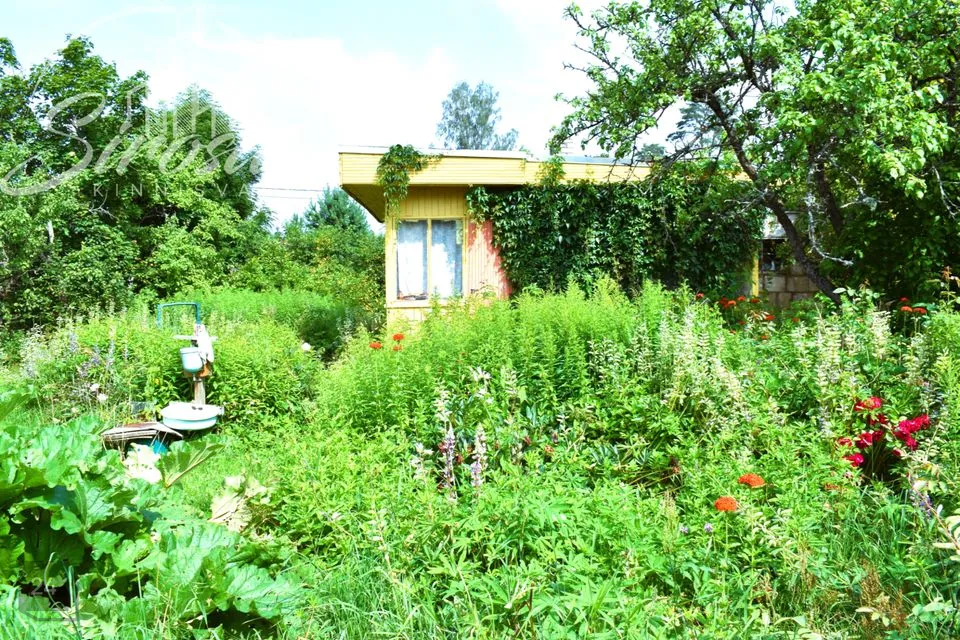 1-toaline Maja  -  Jõhvi vald, Kotinuka küla