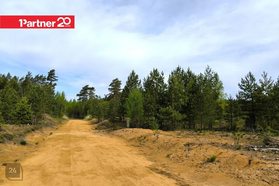 Maatulundusmaa, 15891 m² Maa - Alutaguse vald, Katase küla - foto 4