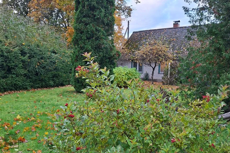 3-toaline Maja  -  Lääne-Harju vald, Niitvälja küla - foto 5