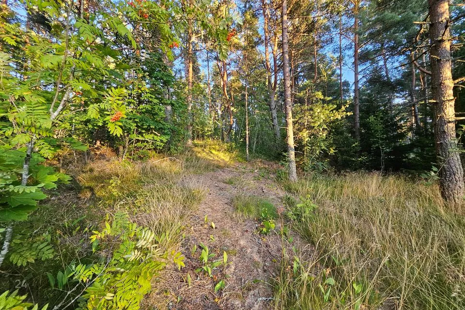 Maatulundusmaa, 1773 m² Maa  -  Lääne-Nigula vald, Tuksi küla / Bergsby - foto 5