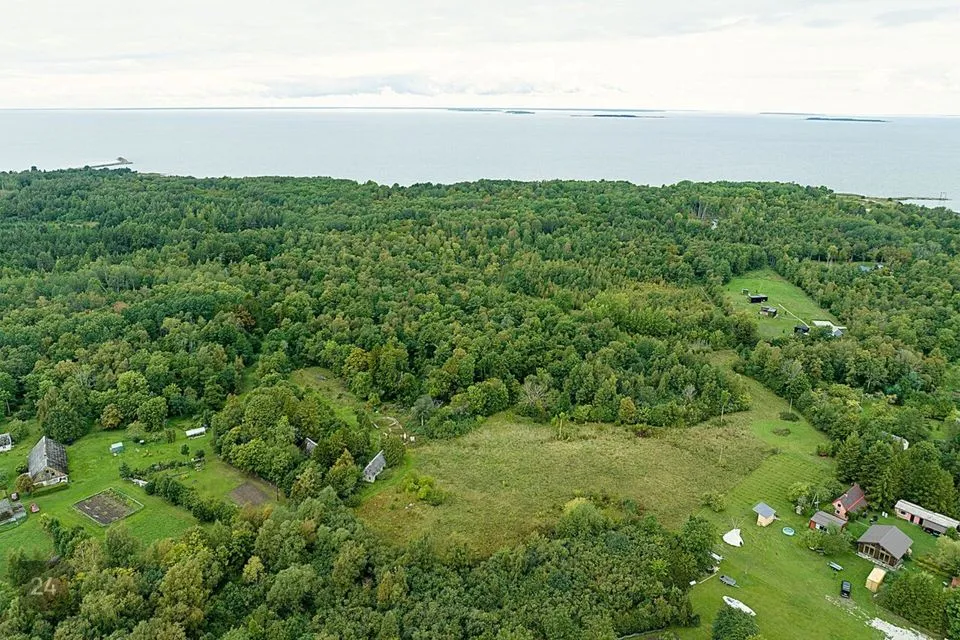 Maatulundusmaa, 20634 m² Maa  -  Muhu vald, Nõmmküla - foto 3