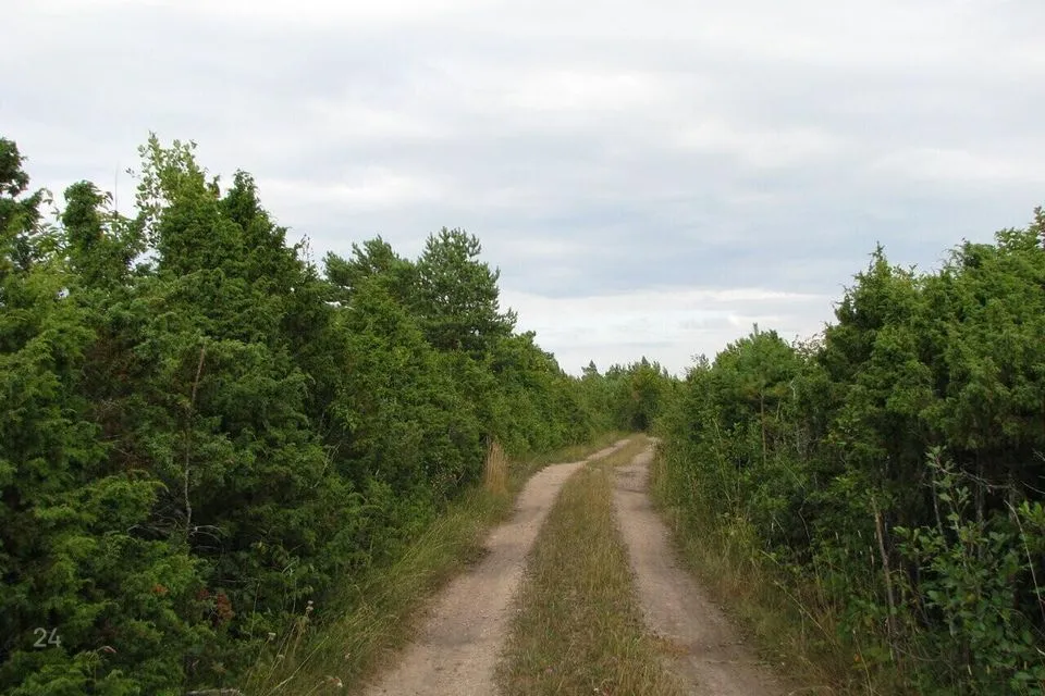 Maatulundusmaa, 290800 m² Maa - Muhu vald, Rässa küla - foto 4