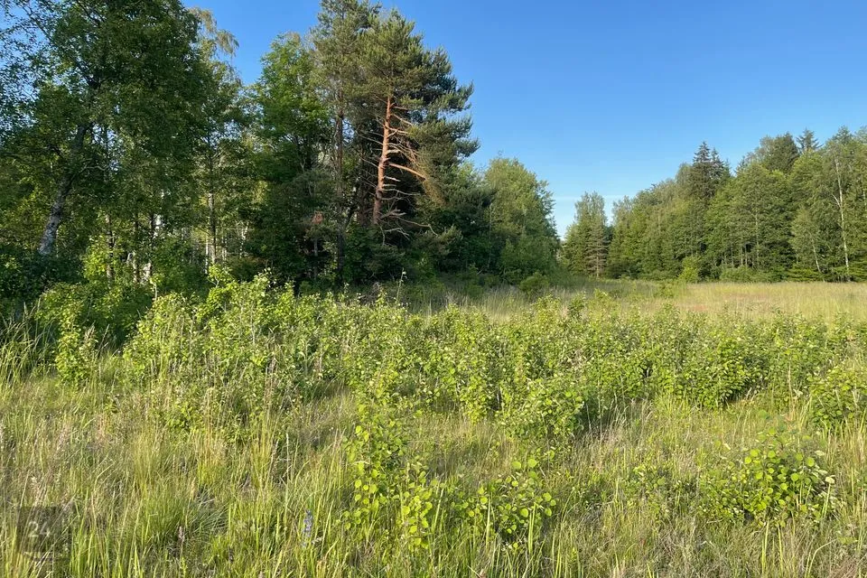 Maatulundusmaa, 26555 m² Maa - Saaremaa vald, Mõntu küla - foto 3