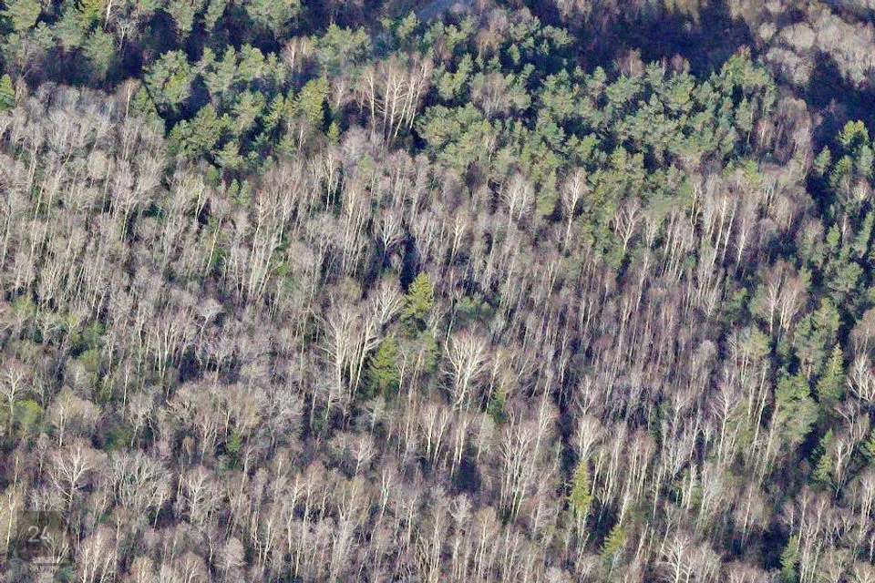 Maatulundusmaa, 58135 m² Maa - Hiiumaa vald, Kukka küla - foto 4