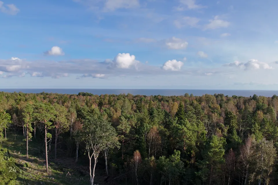 Elamumaa, 12034 m² Maa  -  Saaremaa vald, Mõntu küla - foto 4