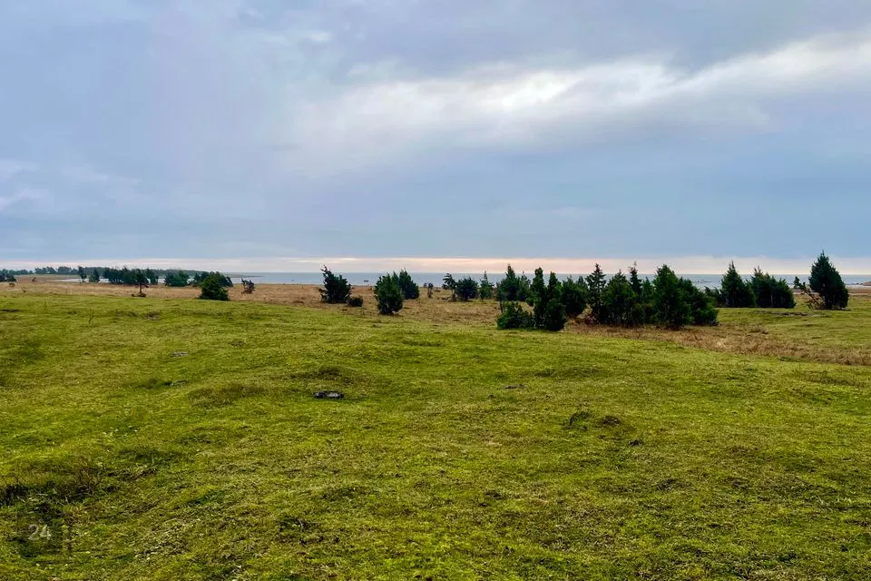 Maatulundusmaa, 17954 m² Maa - Saaremaa vald, Karala küla - foto 3
