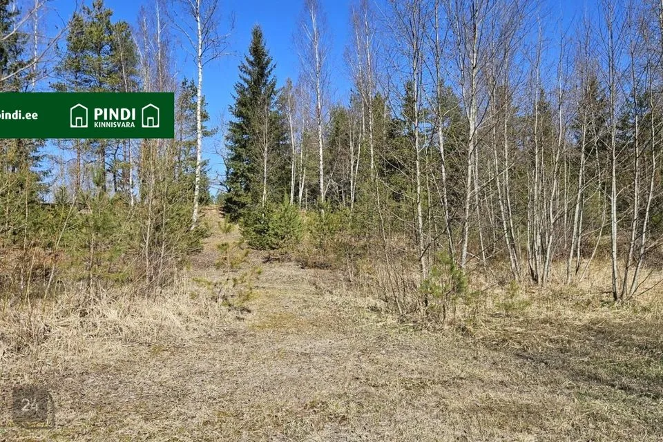 Maatulundusmaa, 19204 m² участок в Rapla vald, Ridaküla - фото 3