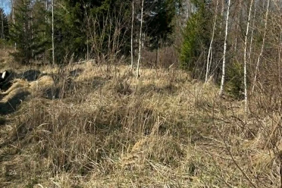 Maatulundusmaa, 21122 m² участок в Hiiumaa vald, Tammistu küla - фото 4