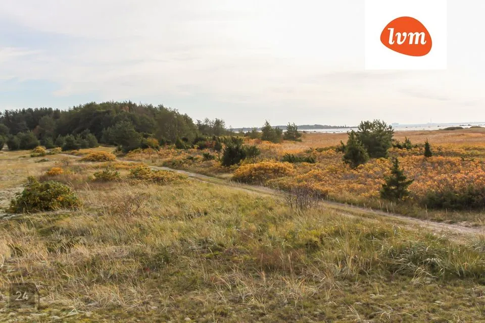 Maatulundusmaa, 5798 m² Maa - Viimsi vald, Kelnase küla - foto 4