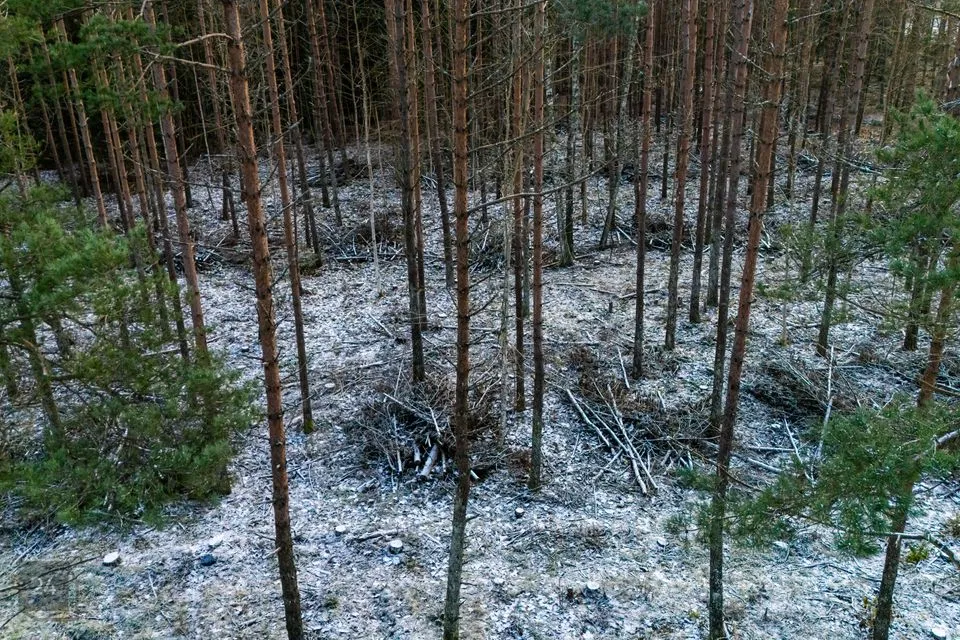Sotsiaalmaa - üldkasutatav maa, 9910 m² Maa  -  Saaremaa vald, Mätasselja küla - foto 4