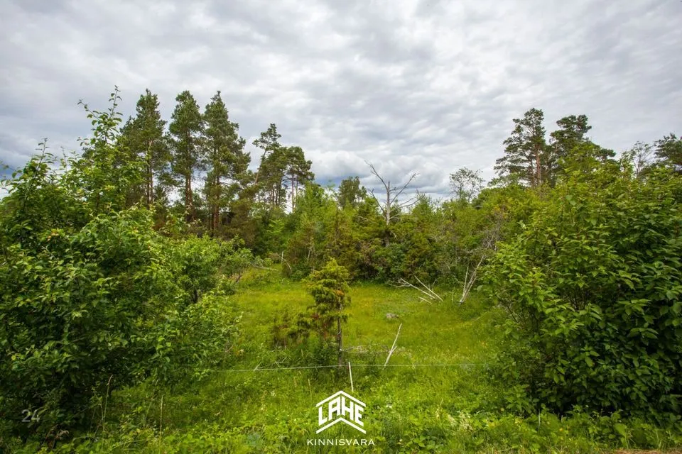 Maatulundusmaa, 16091 m² Maa  -  Saaremaa vald, Kaarma küla - foto 4