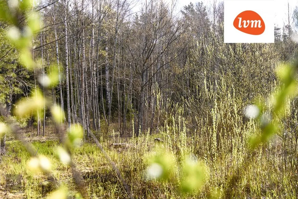 Elamumaa, 1642 m² Maa  -  Pärnu linn, Paikuse alev - foto 3