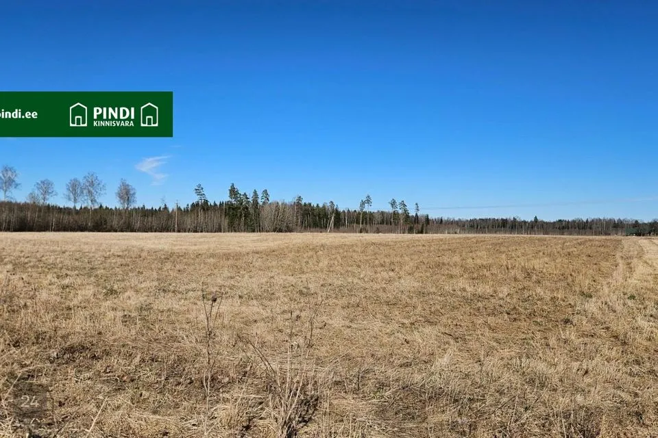 Maatulundusmaa, 127343 m² участок в Rapla vald, Suurekivi küla - фото 2