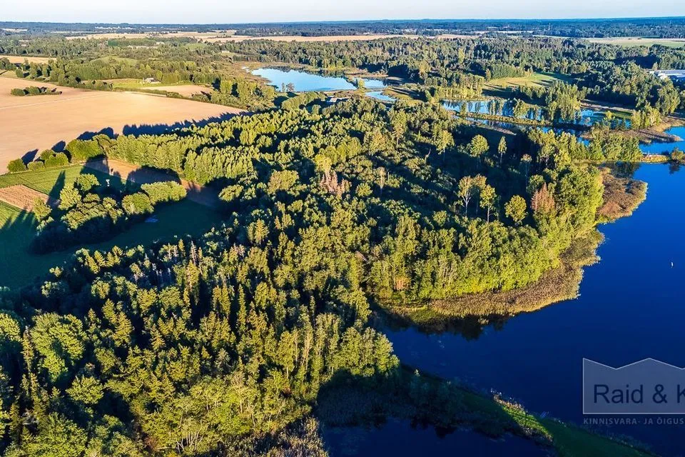 Maatulundusmaa, 73700 m² Maa - Antsla vald, Antsu küla - foto 5