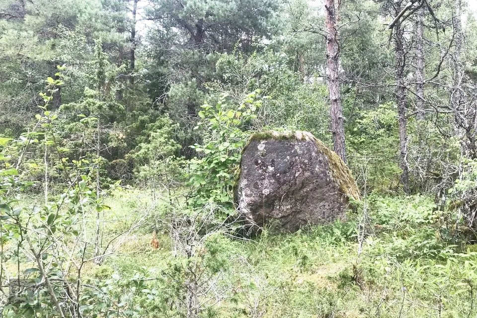 Elamumaa, 6118 m² Maa - Hiiumaa vald, Aruküla - foto 2