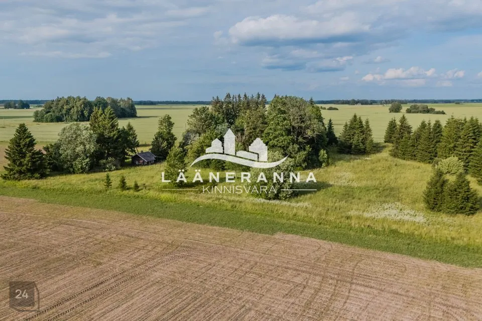 Земля жилой застройки, 7708 m² участок в Türi vald, Ollepa küla - фото 2