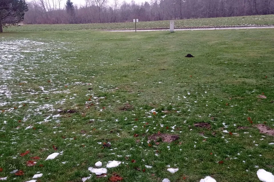 6-toaline Maja  -  Anija vald, Soodla küla - foto 5