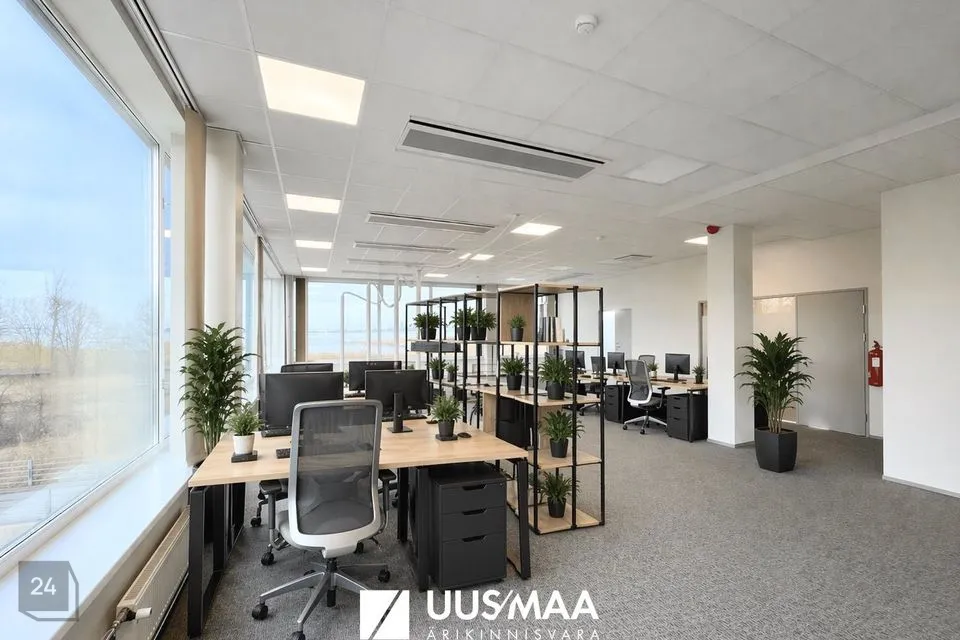 Бюро, 320 m² Бизнес-площадь в Tallinn, Haabersti linnaosa