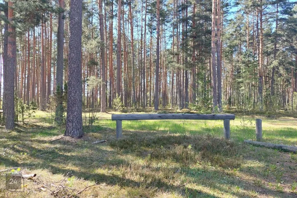 Maatulundusmaa, 64294 m² Maa - Setomaa vald, Värska alevik - foto 4