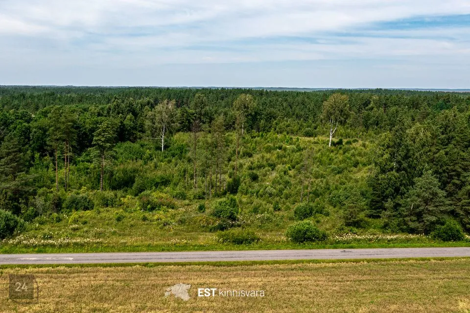 Maatulundusmaa, 129486 m² Maa - Lääneranna vald, Tõitse küla - foto 2