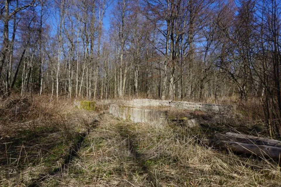 Elamumaa, 26395 m² Maa - Hiiumaa vald, Haldreka küla - foto 3