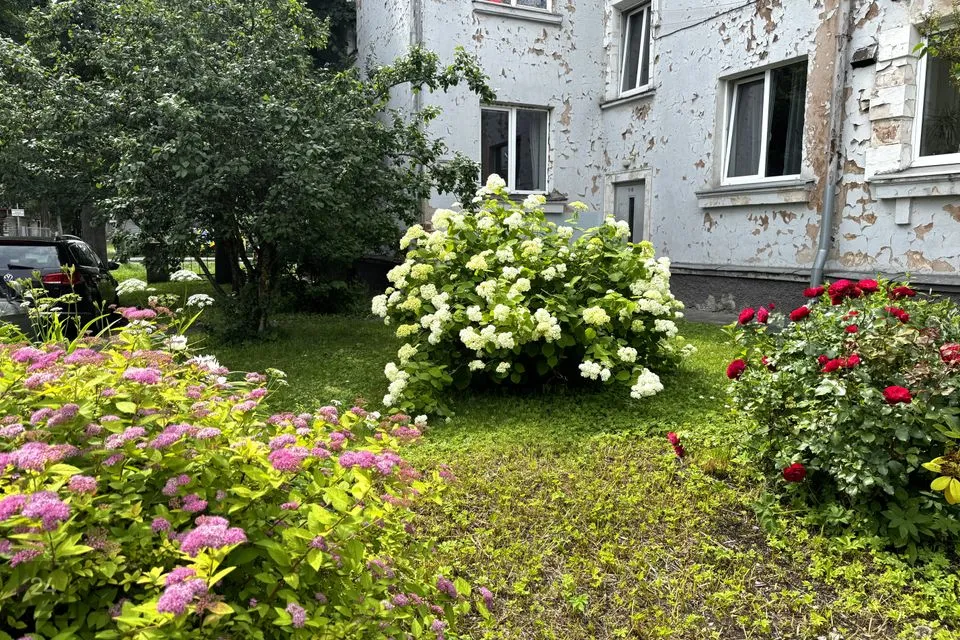 2-toaline Korter  -  Tallinn, Lasnamäe linnaosa