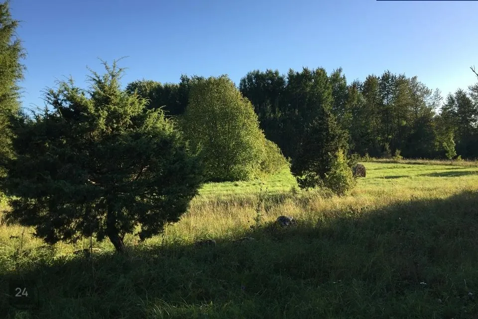 Maatulundusmaa, 5974 m² Maa  -  Lääneranna vald, Raespa küla - foto 3