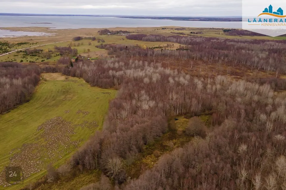 Maatulundusmaa, 50045 m² Maa - Saaremaa vald, Rahuste küla - foto 4