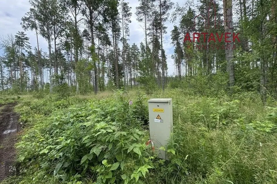 Maatulundusmaa, 8003 m² участок в Alutaguse vald, Katase küla
