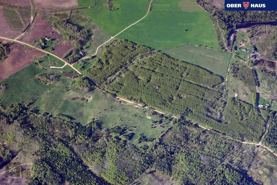 Maatulundusmaa, 181700 m² Maa  -  Kastre vald, Alaküla