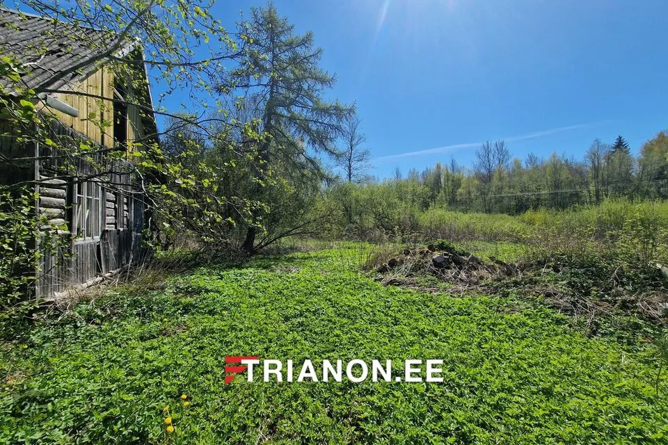 2-toaline Maja  -  Narva linn - foto 4