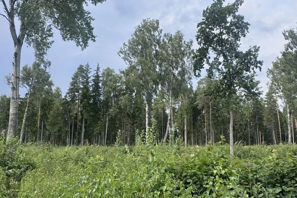 Maatulundusmaa, 12434 m² Maa - Kohila vald, Mälivere küla - foto 3