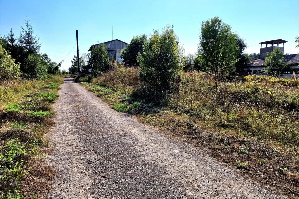 Maatulundusmaa, 95100 m² участок в Lääneranna vald, Nurme küla - фото 4