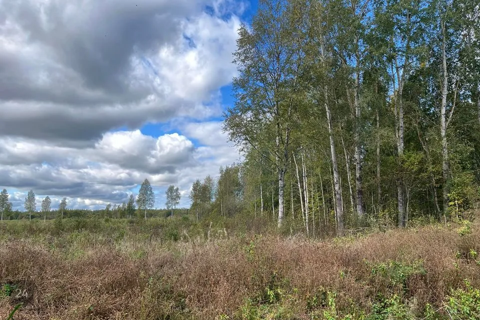 Maatulundusmaa, 10047 m² участок в Peipsiääre vald, Kasepää alevik - фото 3