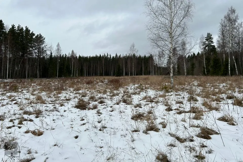 Maatulundusmaa, 19415 m² Maa  -  Mustvee vald, Separa küla - foto 3