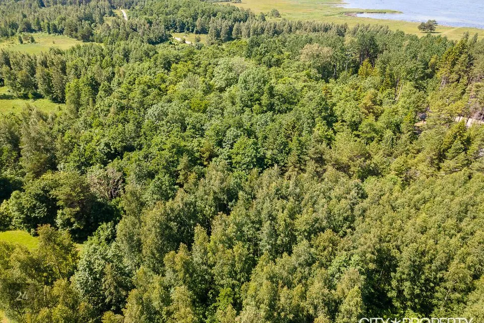 Residential land, 32509 m² land in Vormsi vald, Kersleti küla - photo 4