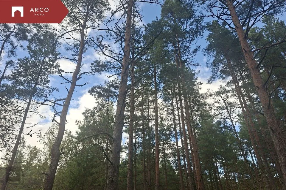 Maatulundusmaa, 136296 m² участок в Saaremaa vald, Ööriku küla - фото 3
