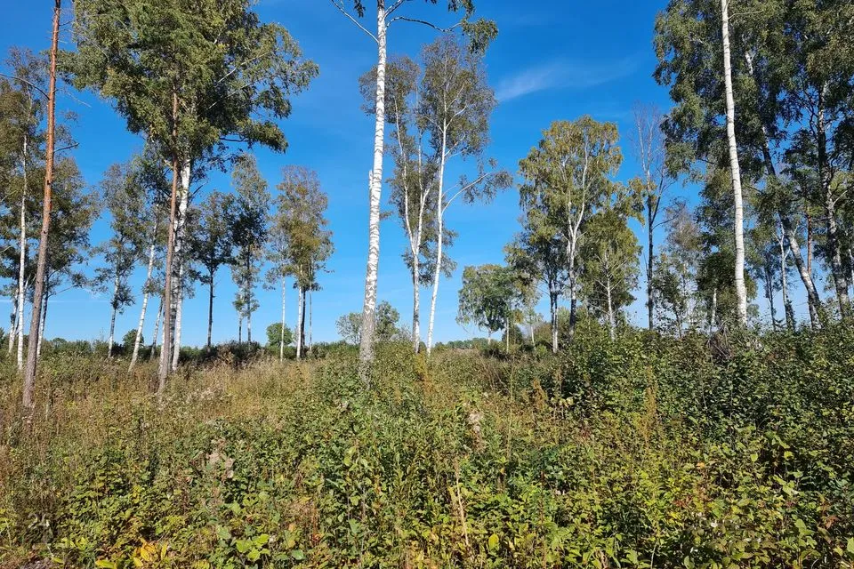 Elamumaa, 9641 m² Maa  -  Lääne-Nigula vald, Österby küla