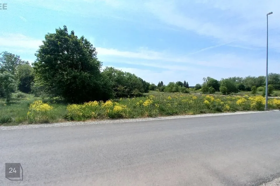 Elamumaa, 1499 m² Maa - Saku vald, Tänassilma küla - foto 4