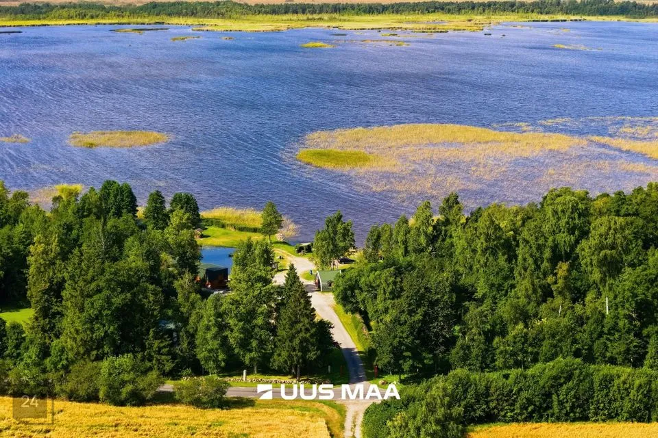Maatulundusmaa, 37622 m² Maa  -  Pärnu linn, Männikuste küla - foto 4