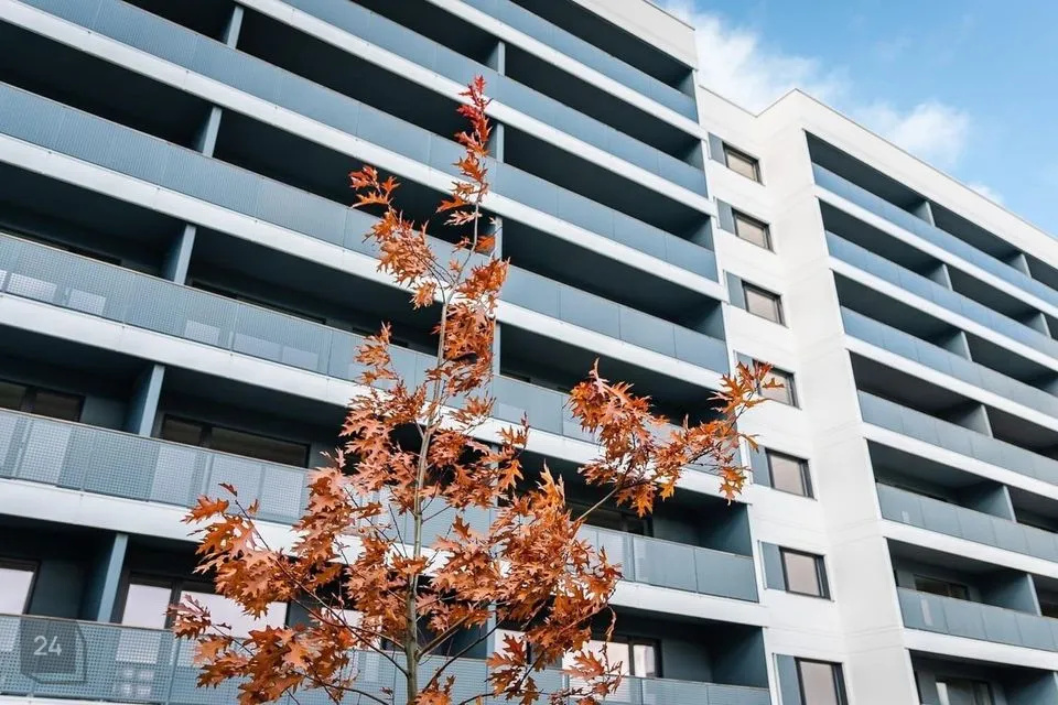 3-toaline Korter - Tallinn, Lasnamäe linnaosa