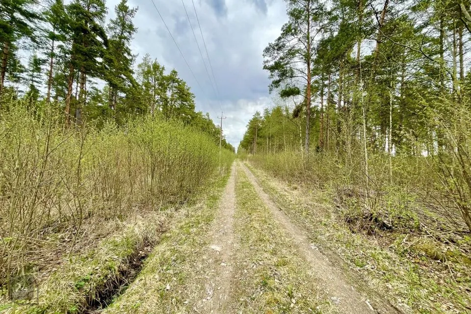 Maatulundusmaa, 29000 m² участок в Saaremaa vald, Parila küla - фото 2