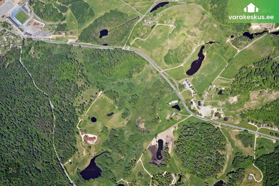 Maatulundusmaa, 54425 m² Maa  -  Otepää vald, Nüpli küla - foto 4
