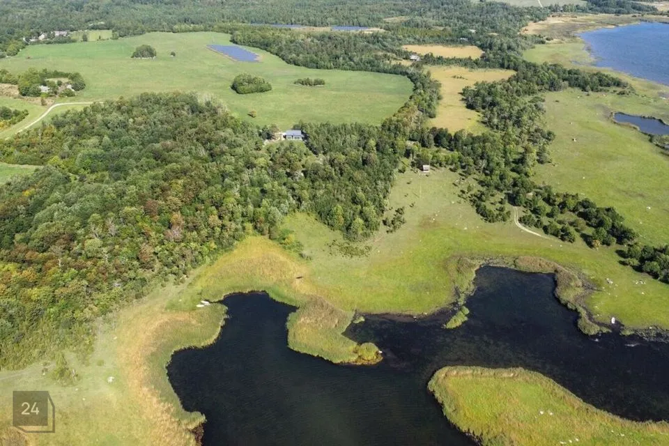 Maatulundusmaa, 16042 m² Maa - Saaremaa vald, Turja küla - foto 3