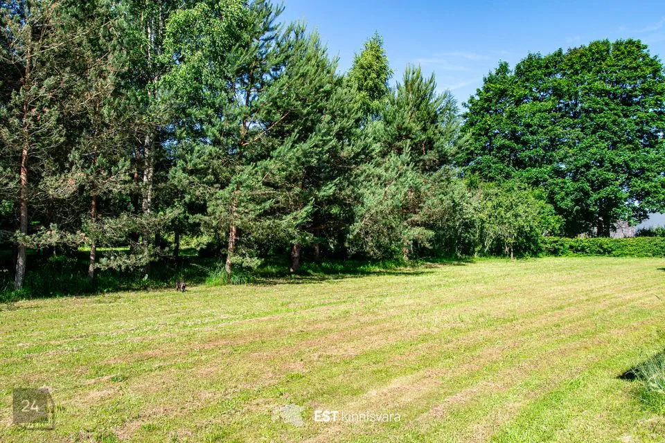 Elamumaa, 2581 m² Maa  -  Kastre vald, Mõra küla - foto 3