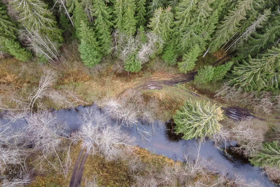 1-toaline Maja  -  Kanepi vald, Jõgehara küla - foto 3
