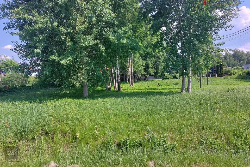 Sihtotstarbeta maa, 2784 m² Maa  -  Tori vald, Sindi linn - foto 3